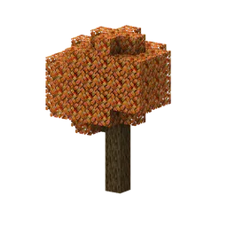 Maple Tree Maple Tree